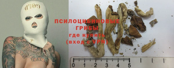 меф Арсеньев