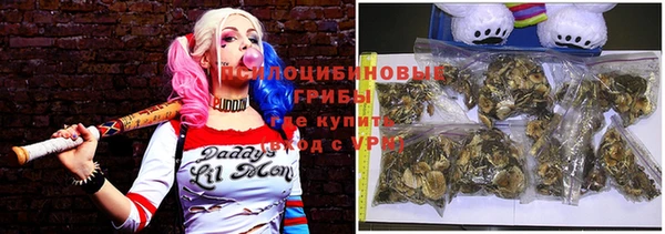 меф Арсеньев